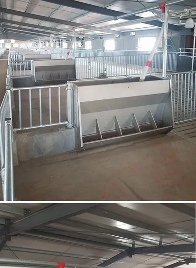 Automatic Stainless Steel Livestock Feeder System