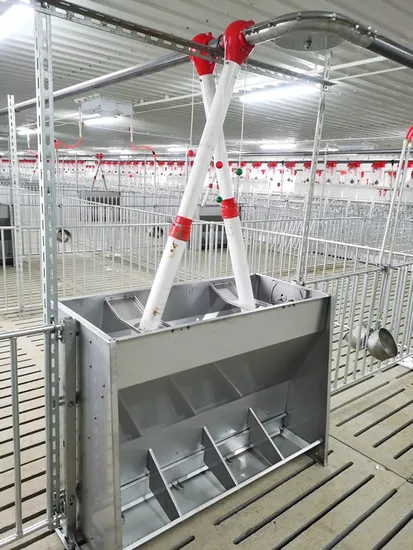 Automatic Stainless Steel Livestock Feeder System