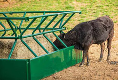 Multipurpose Steel Feeding Trough Livestock Feeder